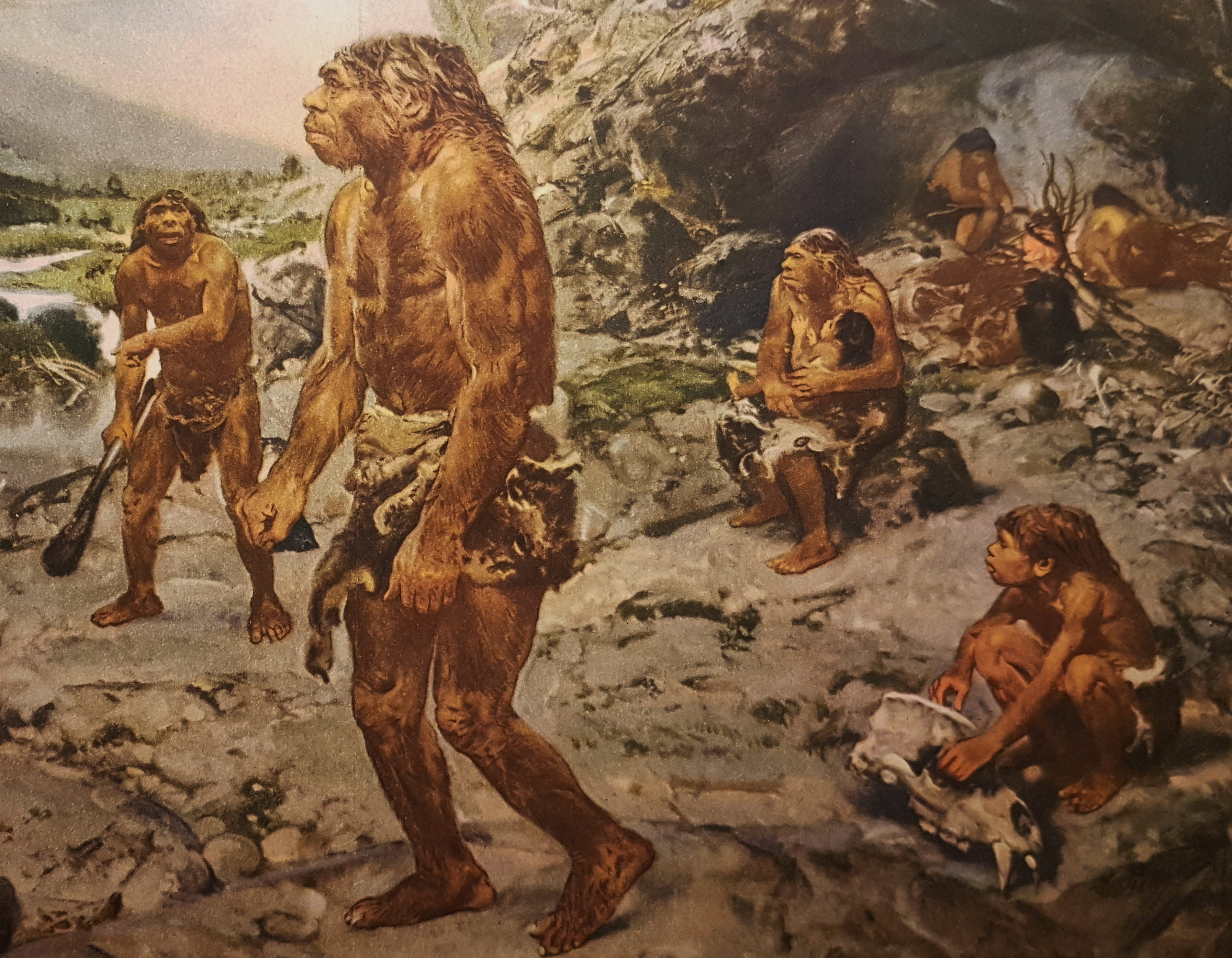 Der wohlgeformte Popo der Neandertalerin - Klaus Kunze